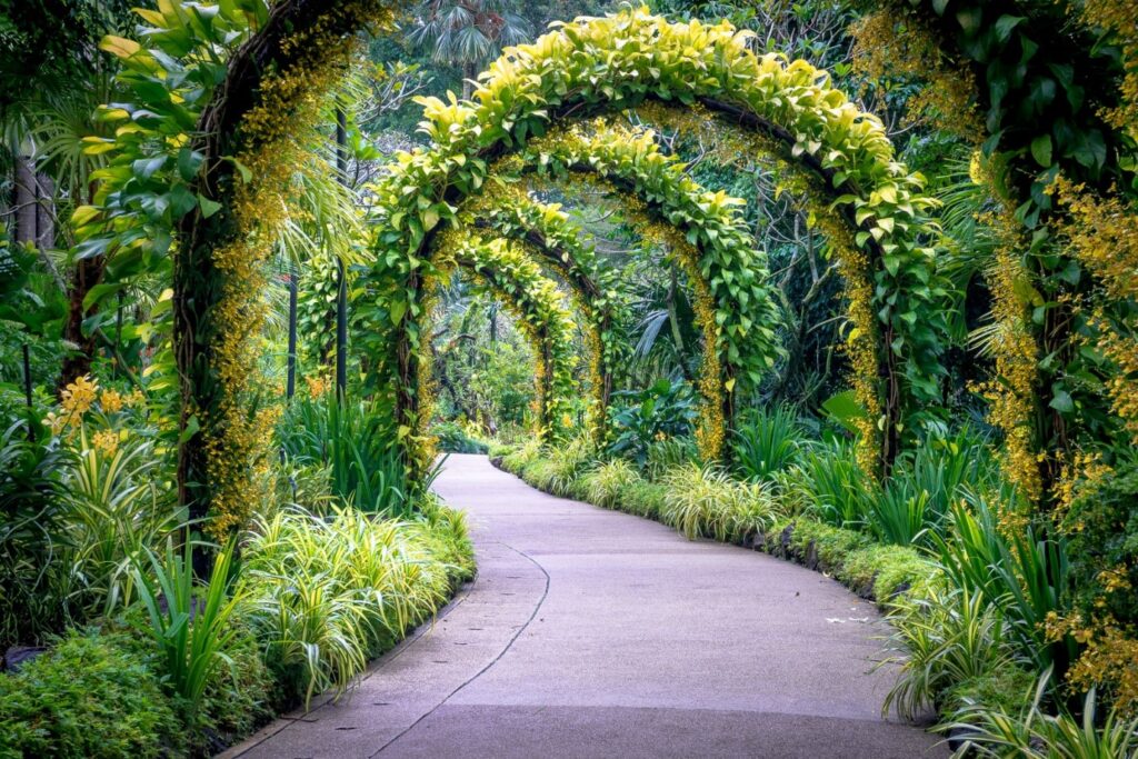 4th must-visit place in Singapore : Singapore Botanic Gardens